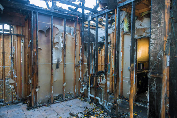 Professional Emergency Fire Cleanup technician working in Luckey, OH